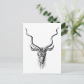 Carte Postale Grand Kudu (Debout devant)