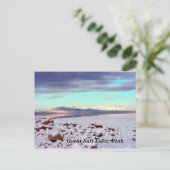 Carte Postale Grand lac de sel, Utah (Debout devant)
