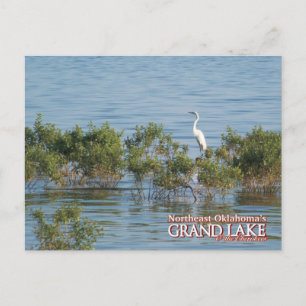 Carte postale Grand Lake Oklahoma Egret
