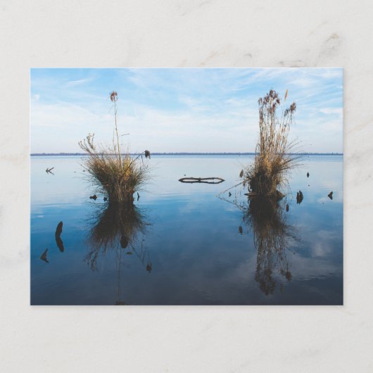 Carte Postale grand marais sombre (Devant)