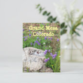 Carte Postale Grand Mesa, Colorado (Debout devant)