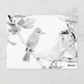 Carte Postale Grand Moucherolle (Dos)