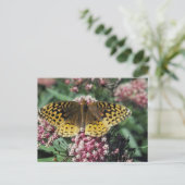 Carte Postale Grand Papillon Fritillaire Spangé (Debout devant)