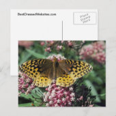 Carte Postale Grand Papillon Fritillaire Spangé (Devant / Derrière)