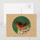 Carte Postale Grand Papillon Fritillaire Spangé (Devant / Derrière)
