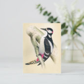 Carte Postale Grand Pic tacheté (Debout devant)