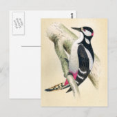 Carte Postale Grand Pic tacheté (Devant / Derrière)