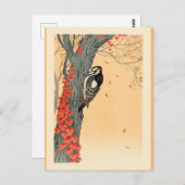 Carte Postale Grand Pic tacheté (Devant / Derrière)