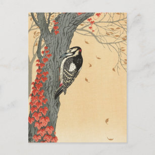 Carte Postale Grand pic tacheté en arbre avec lierre rouge