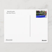 Carte Postale grand plante exotique (Dos)