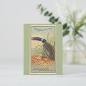 Carte Postale Grand Plongeur du Nord (Loon) (Debout devant)