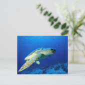 Carte Postale Grand Récif de la Grande Barrière, Australie 2 (Debout devant)