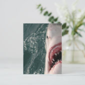 Carte Postale Grand requin blanc (Debout devant)