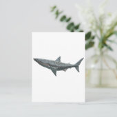 Carte Postale Grand requin blanc (Debout devant)