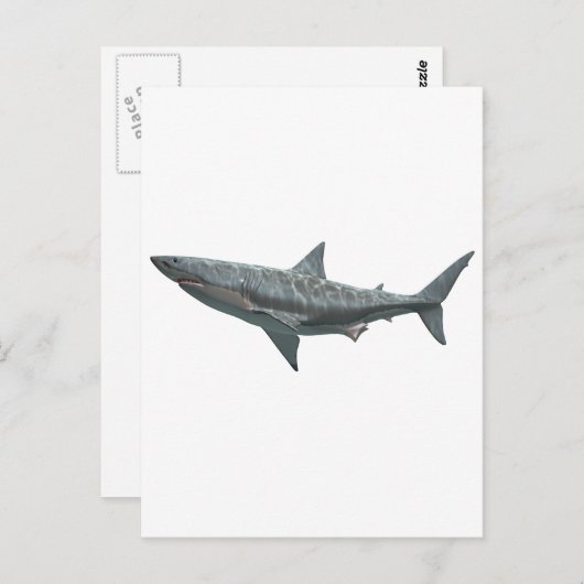 Carte Postale Grand requin blanc (Devant / Derrière)