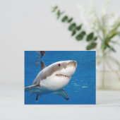 Carte Postale Grand requin blanc (Debout devant)