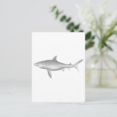 Carte Postale Grand requin blanc (Debout devant)