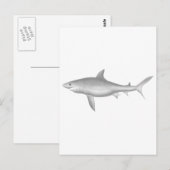 Carte Postale Grand requin blanc (Devant / Derrière)