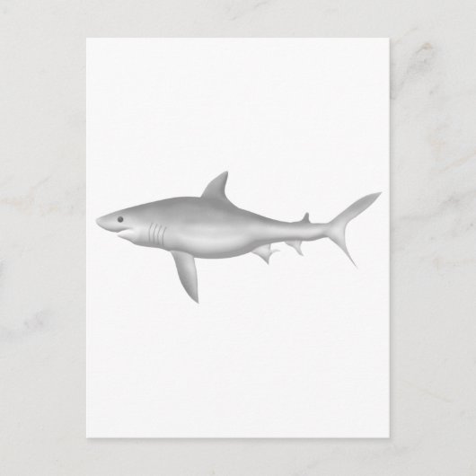 Carte Postale Grand requin blanc (Devant)