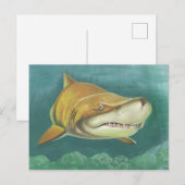 Carte Postale Grand requin de sable (Devant / Derrière)
