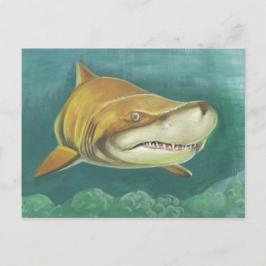 Carte Postale Grand requin de sable (Devant)