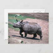 Carte Postale Grand rhinocéros indien à une corne (Devant / Derrière)