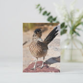 Carte Postale Grand Roadrunner (Debout devant)