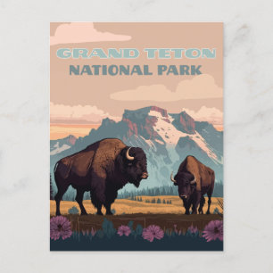 Carte Postale Grand Teton National Park Jackson Wyoming Mountain