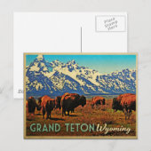 Carte Postale Grand Teton Wyoming Buffalo (Devant / Derrière)
