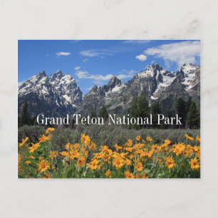 Carte Postale Grand Tétons avec neige printanière et fleurs