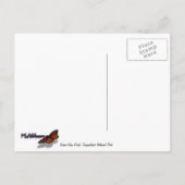 Carte Postale Grand View Point dans le parc national des Canyonl (Dos)