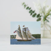 Carte Postale Grand voilier Pride of Baltimore II (Debout devant)