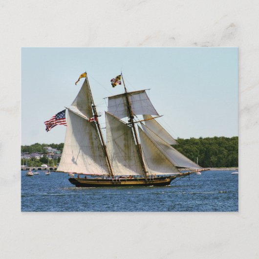 Carte Postale Grand voilier Pride of Baltimore II (Devant)
