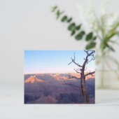 Carte postale GrandCanyon-View#1 (Debout devant)