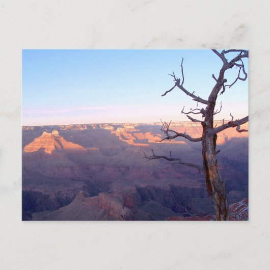 Carte postale GrandCanyon-View#1 (Devant)