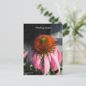 Carte Postale Grande baie rose (Debout devant)