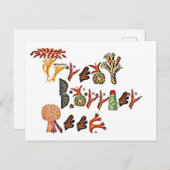 Carte Postale Grande Barrière De Corail, (Devant / Derrière)