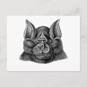Carte Postale Grande chauve-souris à fer à cheval