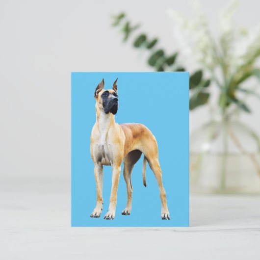 Carte Postale Grande Dane (Debout devant)