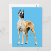 Carte Postale Grande Dane (Devant / Derrière)