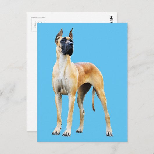 Carte Postale Grande Dane (Devant / Derrière)