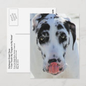 Carte Postale Grande Danse - Arlequin - Ma Langue Touche Mon Nez (Devant / Derrière)