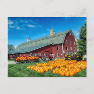 Carte Postale Grande Grange Rouge Vermont Avec Citrouilles