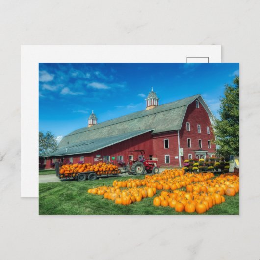 Carte Postale Grande Grange Rouge Vermont Avec Citrouilles (Devant / Derrière)