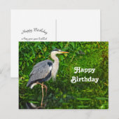 Carte Postale Grande photo de naissance de faune d'oiseau de hér (Devant / Derrière)