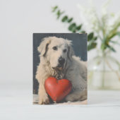 Carte Postale Grande Pyrenees Saint-Valentin Vintage (Debout devant)