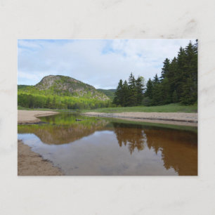 Carte Postale Grande réflexion de tête à Sand Beach