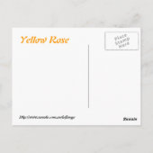 Carte Postale Grande rose jaune (Dos)