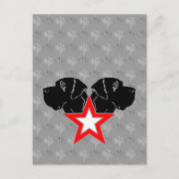 Grande tête Dane Star