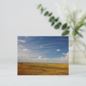 Carte Postale Grandes Plaines du Dakota du Sud en été (Debout devant)